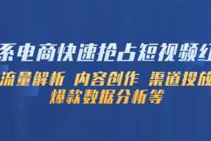 淘系电商快速抢占短视频红利：流量解析 内容创作 渠道投放 爆款数据分析等