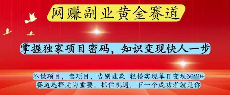 网创副业黄全赛道，掌握独家项目密码，知识变现快人一步，告别韭菜轻松实现单日变现1k+【揭秘】