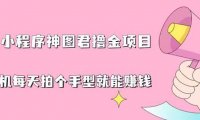 抖音小程序神图君撸金项目，用手机每天拍个手型挂载一下小程序就能赚钱