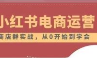 小红书店铺运营从小白到大神2.0，从入门到精通