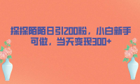 探探陌陌日引200粉，小白新手可做，当天就能变现300+