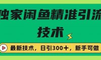 独家闲鱼引流技术，日引300＋实战玩法
