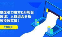 达摩盘引力魔方&万相台投放课：人群组合分析，高效投放实操！
