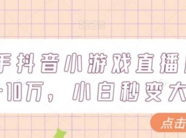 快手抖音小游戏直播月入5-10万，小白秒变大神