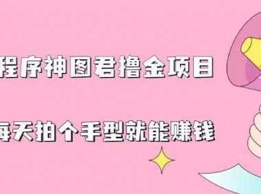 抖音小程序神图君撸金项目，用手机每天拍个手型挂载一下小程序就能赚钱