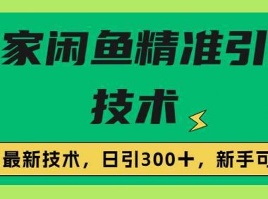 独家闲鱼引流技术，日引300＋实战玩法