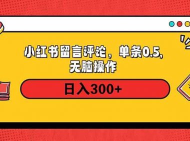 小红书评论单条0.5元，日入300＋，无上限，详细操作流程