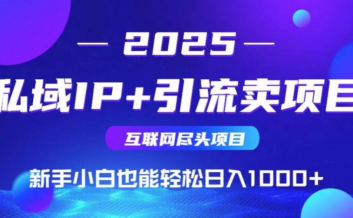 私域IP+卖项目，普通人小白也能轻松实现日入1000+