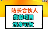 站长合伙人，入门级运营教程，靠谱项目，终身可做，超低成本创业，终身利润。